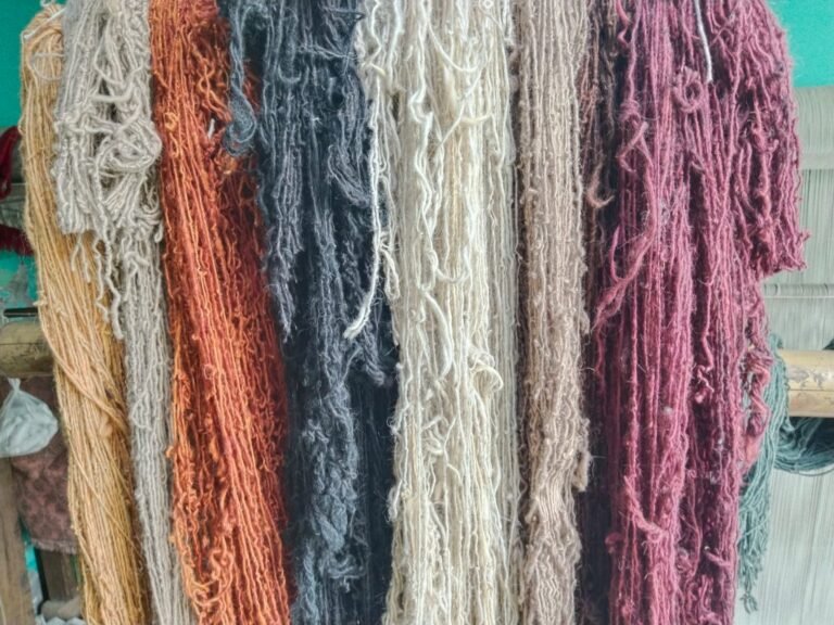 WhatsApp Image 2025-12-12 at 11.51.02