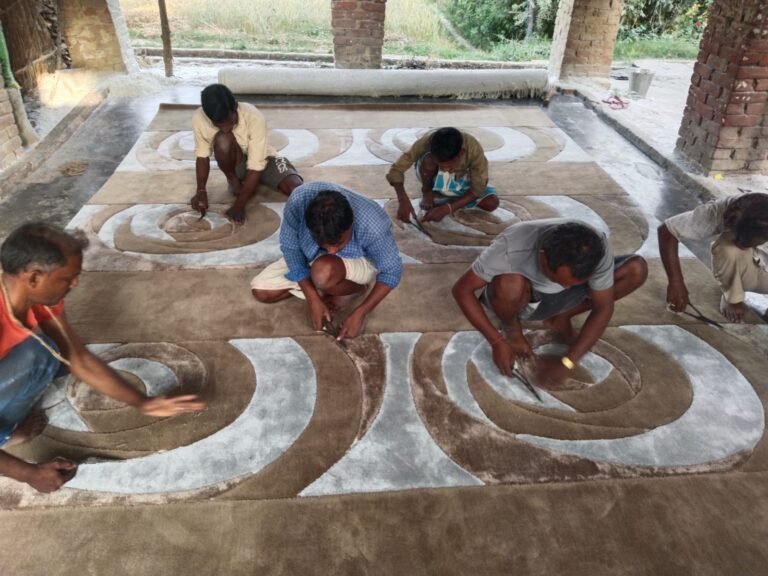 WhatsApp Image 2025-12-12 at 11.53.52